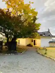 有子山稲荷神社の建物その他