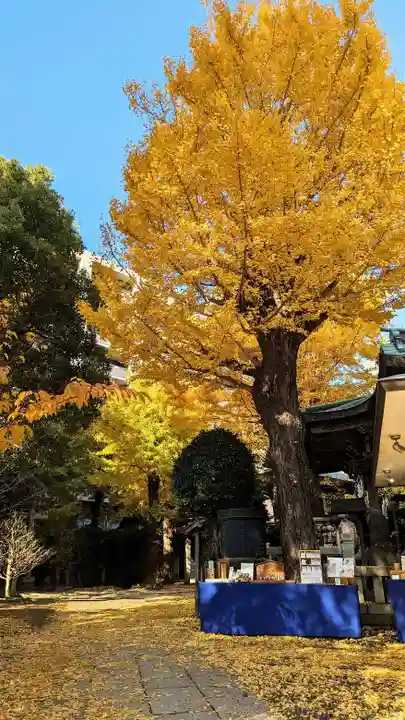小野照崎神社の自然