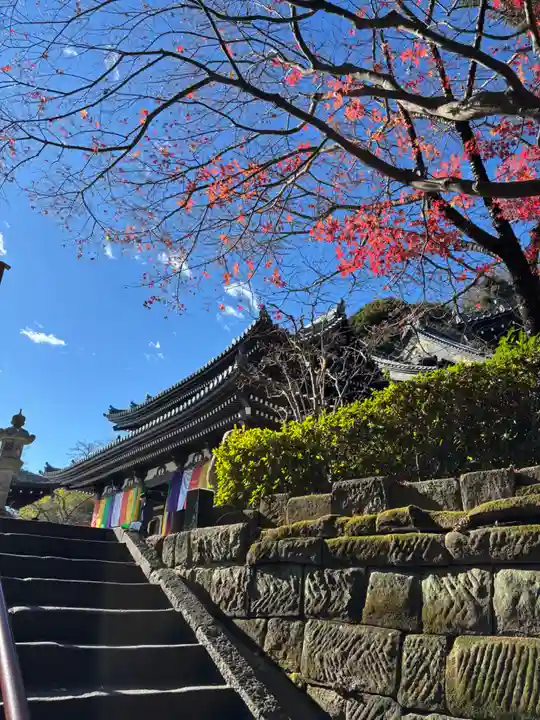長谷寺(神奈川県)