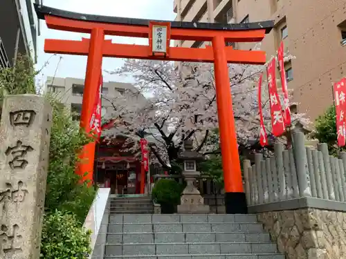 四宮神社の鳥居