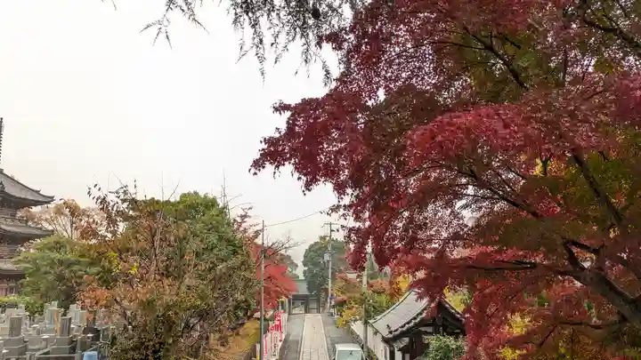 宝積寺(京都府)