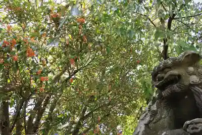 豊景神社の狛犬