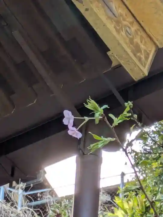 叶神社 (西叶神社)(神奈川県)