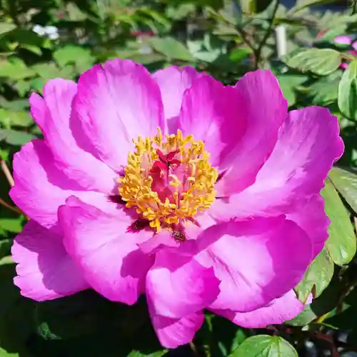 滑川神社 - 仕事と子どもの守り神の周辺