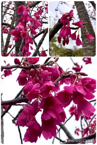 亀戸天神社(東京都)