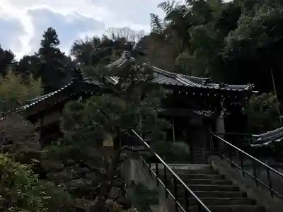 誕生寺の本殿・本堂