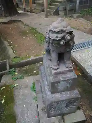 熊野神社（杉田・中原）の狛犬