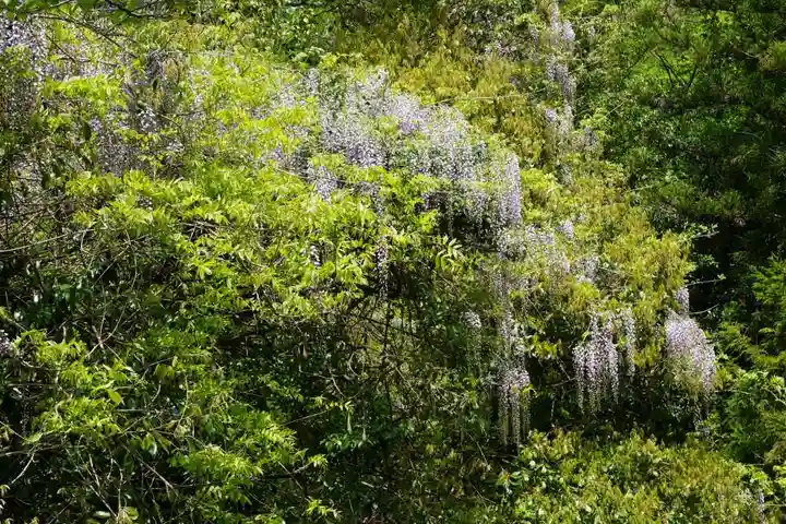 厳島神社(山口県)