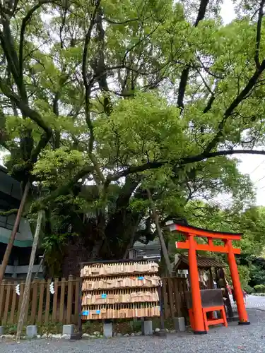 富知六所浅間神社(静岡県)