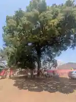 白髭神社(群馬県)