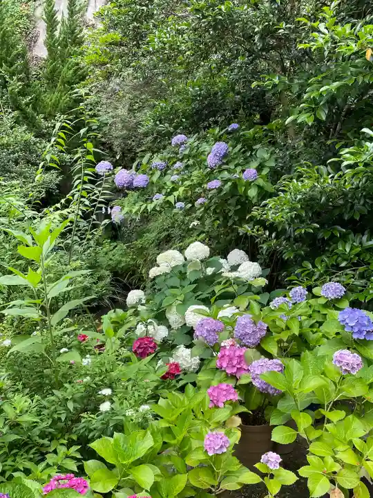 大綱金刀比羅神社(神奈川県)