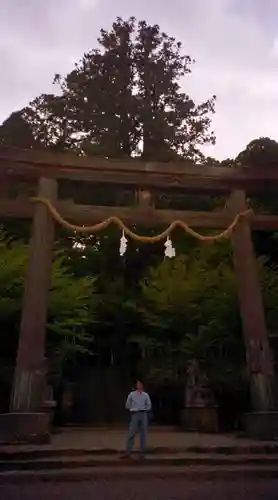 戸隠神社中社の鳥居