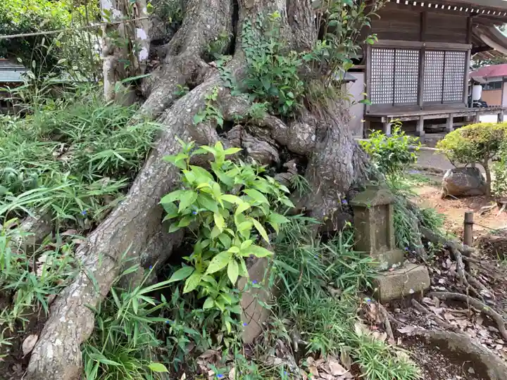 埴生神社(千葉県)