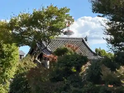 本願寺（西本願寺）(京都府)
