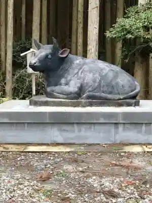 菅原神社の{uncategorized: "未分類", other: "その他", undefined: "問題あり", building: "その他建物", grave: "お墓", sacred_gate: "鳥居", guardian: "狛犬", statue: "像", buddha: "仏像", history: "歴史", nature: "自然", garden: "庭園", animal: "動物", pagoda: "塔", temizu: "手水舎", mountain_gate: "山門・神門", sanctuary: "本殿・本堂", subordinate: "末社・摂社", art: "芸術", scenery: "景色", jizo: "地蔵", ema: "絵馬", goshuin: "御朱印", omikuji: "おみくじ", items: "授与品その他", amulet: "お守り", goshuincho: "御朱印帳", eats: "食事", festival: "お祭り", votive_dance: "神楽", shichigosan: "七五三参", wedding: "結婚式", experience: "体験その他", initially: "初詣", around: "周辺", anti_infection: "感染症対策"}