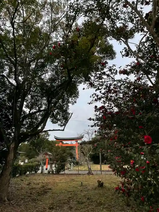 宇佐神宮の{uncategorized: "未分類", other: "その他", undefined: "問題あり", building: "その他建物", grave: "お墓", sacred_gate: "鳥居", guardian: "狛犬", statue: "像", buddha: "仏像", history: "歴史", nature: "自然", garden: "庭園", animal: "動物", pagoda: "塔", temizu: "手水舎", mountain_gate: "山門・神門", sanctuary: "本殿・本堂", subordinate: "末社・摂社", art: "芸術", scenery: "景色", jizo: "地蔵", ema: "絵馬", goshuin: "御朱印", omikuji: "おみくじ", items: "授与品その他", amulet: "お守り", goshuincho: "御朱印帳", eats: "食事", festival: "お祭り", votive_dance: "神楽", shichigosan: "七五三参", wedding: "結婚式", experience: "体験その他", initially: "初詣", around: "周辺", anti_infection: "感染症対策"}