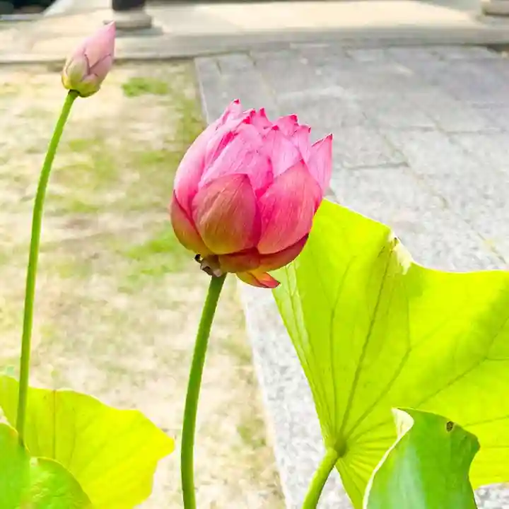 伊勢の国 四天王寺(三重県)