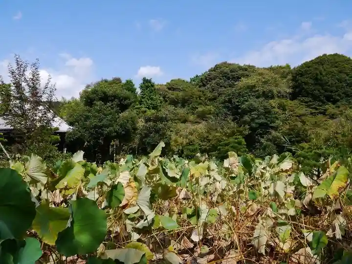 法金剛院の景色