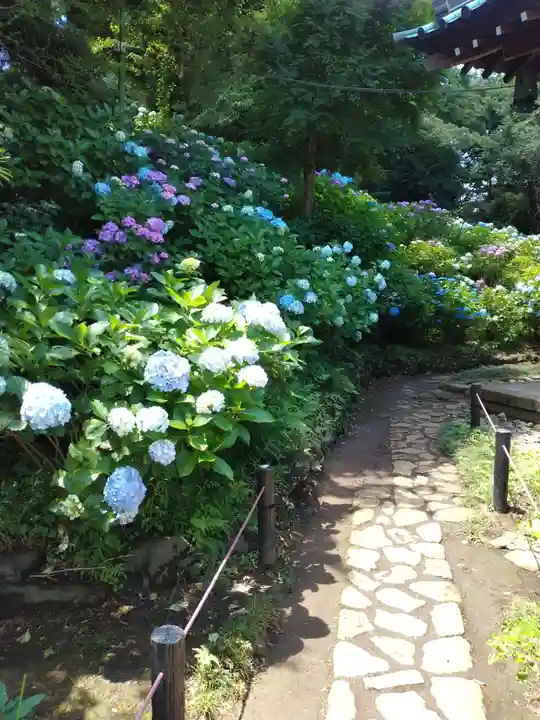 妙楽寺(神奈川県)