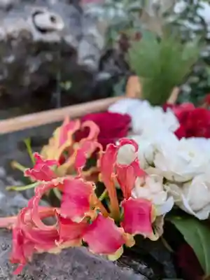 本郷氷川神社(東京都)