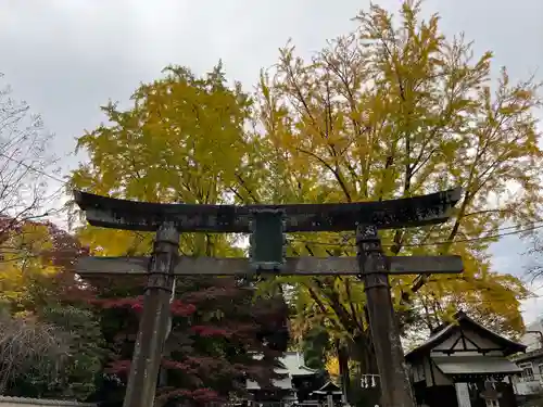 桐生天満宮の鳥居