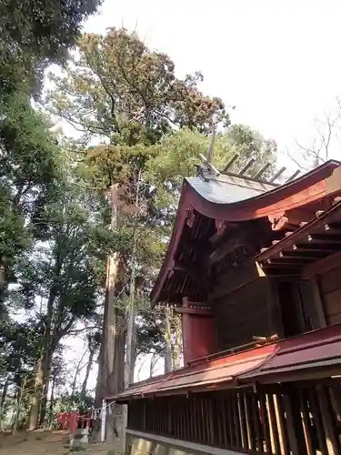 麻賀多神社の本殿・本堂