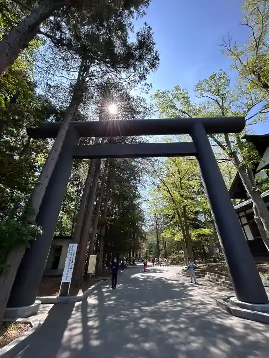 北海道神宮の鳥居