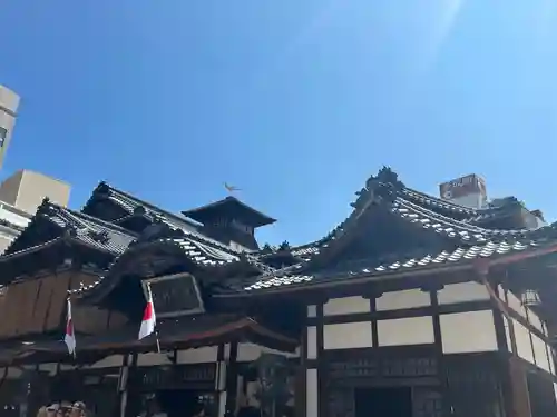 伊佐爾波神社(愛媛県)