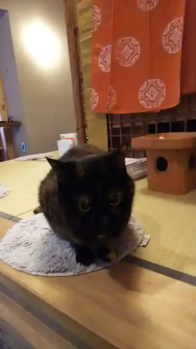 五十稲荷神社(栄寿稲荷神社)の動物