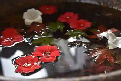 美瑛神社の手水舎