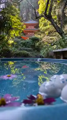 岩船寺(京都府)