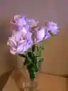 ふみふまさんのプロフィール画像