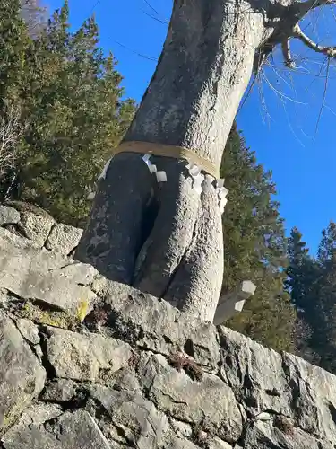 夫婦木神社(山梨県)