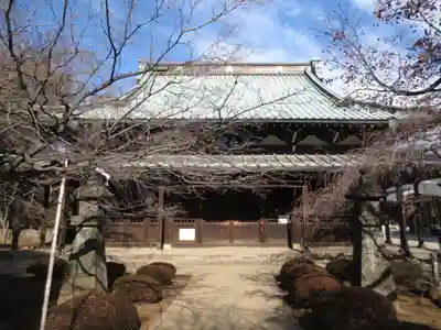 豪徳寺の本殿・本堂