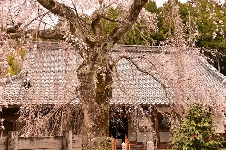 法蓮寺(愛媛県)