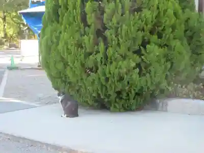 山梨縣護國神社(山梨県)