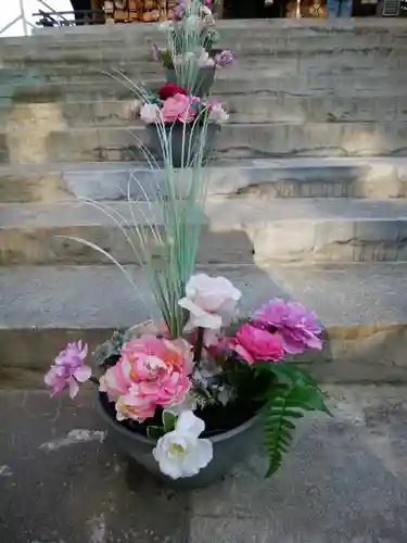 札幌諏訪神社の自然