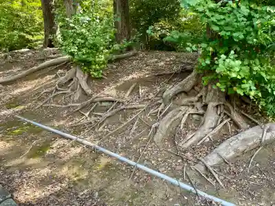 金毘羅神社(東京都)