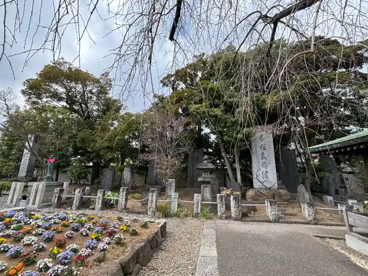 西新井大師総持寺の{uncategorized: "未分類", other: "その他", undefined: "問題あり", building: "その他建物", grave: "お墓", sacred_gate: "鳥居", guardian: "狛犬", statue: "像", buddha: "仏像", history: "歴史", nature: "自然", garden: "庭園", animal: "動物", pagoda: "塔", temizu: "手水舎", mountain_gate: "山門・神門", sanctuary: "本殿・本堂", subordinate: "末社・摂社", art: "芸術", scenery: "景色", jizo: "地蔵", ema: "絵馬", goshuin: "御朱印", omikuji: "おみくじ", items: "授与品その他", amulet: "お守り", goshuincho: "御朱印帳", eats: "食事", festival: "お祭り", votive_dance: "神楽", shichigosan: "七五三参", wedding: "結婚式", experience: "体験その他", initially: "初詣", around: "周辺", anti_infection: "感染症対策"}
