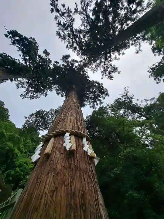 鞍馬寺(京都府)
