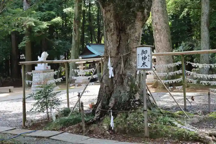 小御門神社(千葉県)
