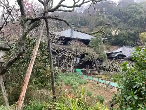 瑞泉寺の{uncategorized: "未分類", other: "その他", undefined: "問題あり", building: "その他建物", grave: "お墓", sacred_gate: "鳥居", guardian: "狛犬", statue: "像", buddha: "仏像", history: "歴史", nature: "自然", garden: "庭園", animal: "動物", pagoda: "塔", temizu: "手水舎", mountain_gate: "山門・神門", sanctuary: "本殿・本堂", subordinate: "末社・摂社", art: "芸術", scenery: "景色", jizo: "地蔵", ema: "絵馬", goshuin: "御朱印", omikuji: "おみくじ", items: "授与品その他", amulet: "お守り", goshuincho: "御朱印帳", eats: "食事", festival: "お祭り", votive_dance: "神楽", shichigosan: "七五三参", wedding: "結婚式", experience: "体験その他", initially: "初詣", around: "周辺", anti_infection: "感染症対策"}