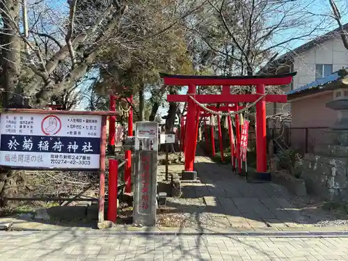 於菊稲荷神社の鳥居