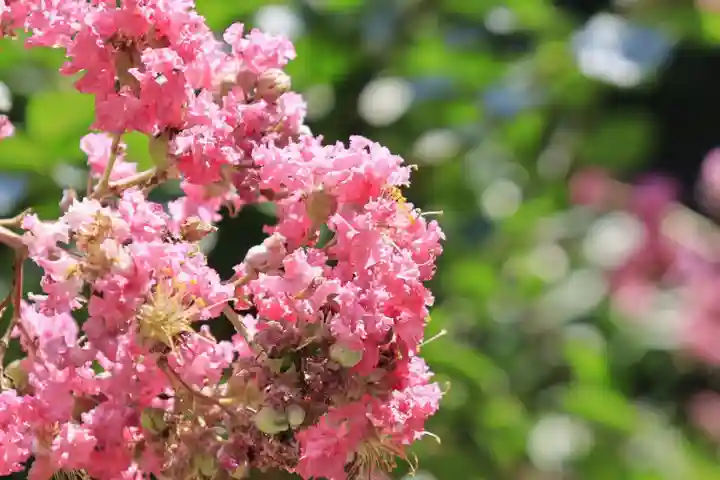 岩船寺(京都府)
