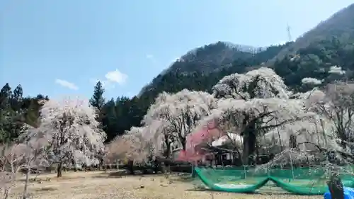 清雲寺(埼玉県)