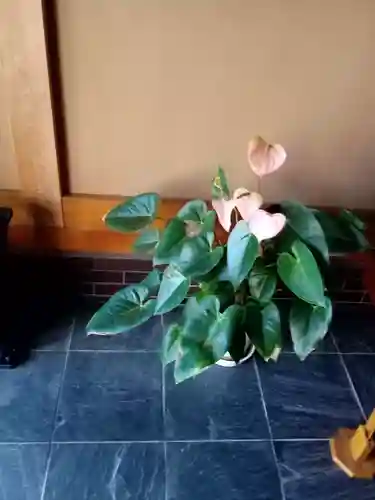 瑞雲寺(神奈川県)