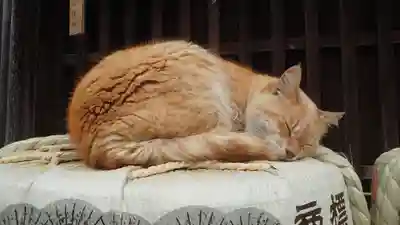 伊勢神宮内宮（皇大神宮）(三重県)