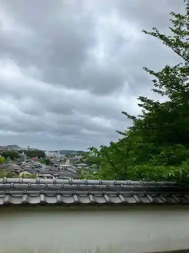 大山祇神社の建物その他