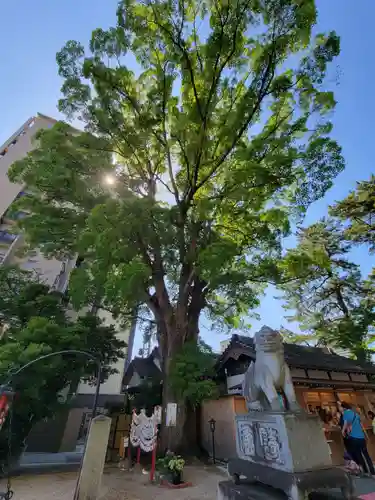 菅生神社の自然