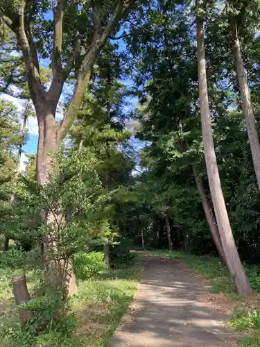 古尾谷八幡神社(埼玉県)